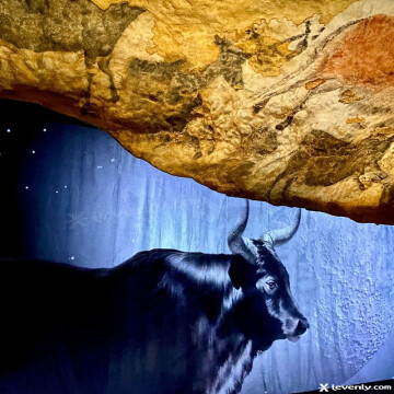 Lascaux 3, retour aux sources d’une aventure mondiale : rencontre avec Nathalie Grenet Lascaux 3, retour aux sources d’une aventure mondiale : rencontre avec Nathalie Grenet