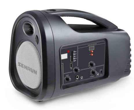 Sonorisation portative EP580 Senrun