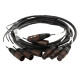 CXM406CORDON MULTIPAIRE AUDIO KLOTZ CABLES