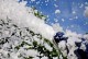Acheter SNOW-FLUID 5L, LIQUIDE NEIGE LEVENLY au meilleur prix sur LEVENLY.com